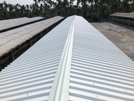 Project Achievement 13-Chicken Coop Renovation-Use Strong House Double Layer Hollow PVC Heat Insulation Roofing Panel