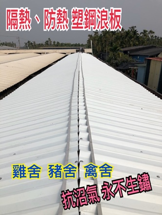 Project Achievement 13-Chicken Coop Renovation-Use Strong House Double Layer Hollow PVC Heat Insulation Roofing Panel