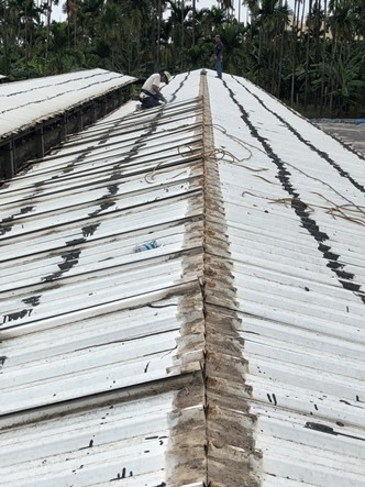 Project Achievement 13-Chicken Coop Renovation-Use Strong House Double Layer Hollow PVC Heat Insulation Roofing Panel
